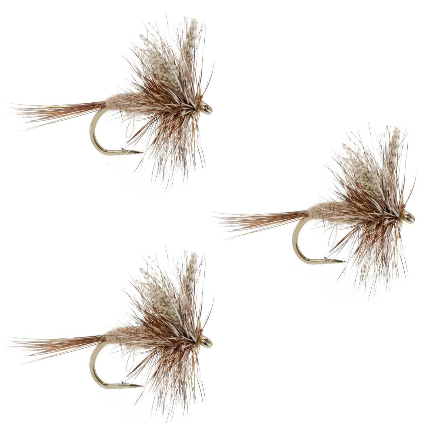 March Brown