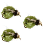 3 Pack Bead Head LaFontaine Olive Deep Sparkle Caddis Pupa - Hook Size 14