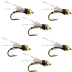 Beadhead Black 3 Dollar Dip Serendipity Nymph - 6 Flies Size 16