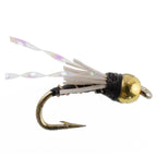 Beadhead Black 3 Dollar Dip Serendipity Nymph - 6 Flies Size 16