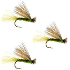 3 Pack Barbless Olive X Caddis Emerging Caddis Adult Fly - Hook Size 16