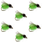 LaFontaine Bright Green Deep Sparkle Caddis Pupa - 6 Flies Hook Size 16