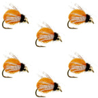 Bead Head LaFontaine Amber Deep Sparkle Caddis Pupa - 6 Flies Hook Size 14