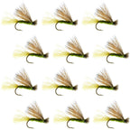Barbless Olive X Caddis Emerging Caddis Adult Fly - 12 Flies Size 14