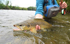 Bead Head Rainbow Warrior Midges -  3 Each of 3 Sizes 14, 16, 18