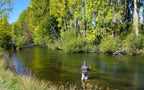 RS2 Gray Emerger Midge - 12 Flies Hook Size 22
