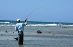 Clousers Deep Minnow Black/Chartreuse Streamer- 4 Saltwater - Size 1/0