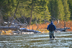 Tungsten Hot Spot Purple Perdigon Tactical Euro Nymph Fly - 6 Flies Size 16