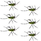 Barbless Pat's Rubber Legs Tungsten Black/Chartreuse Euro Nymph 6 Flies #6