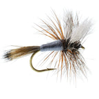 Basics Collection - Wulff Fly Assortment - 10 Flies - 5 Patterns - Sizes 10-14