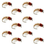 Bead Head Tan Brown Caddis Larva Nymph 12 Flies Hook Size 12