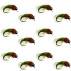 Bead Head Olive Brown Caddis Larva Nymph 12 Flies - Hook Size 16
