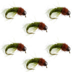 Bead Head Olive Brown Caddis Larva Nymph 6 Flies - Hook Size 12