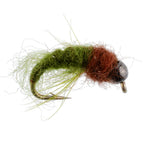 Bead Head Olive Brown Caddis Larva Nymph 6 Flies - Hook Size 12