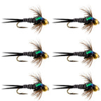 Bead Head Zebra Copper John Nymph Fly Fishing Flies - Set of 6 Flies Hook Size 14