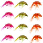 Beaded Shrimp Scud Assortment - 1 Dozen - Size 16 - Tailwater Lake Fly
