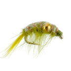 Olive Beaded Shrimp Scud Pattern - 1 Dozen Size 16 - Tailwater Lake Fly Fishing Nymph