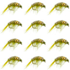 Olive Beaded Shrimp Scud Pattern - 1 Dozen Size 16 - Tailwater Lake Fly Fishing Nymph