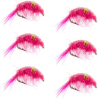 Pink Beaded Shrimp Scud Pattern - 6 Flies - Size 16 - Tailwater Lake Fly Fishing Nymph