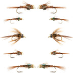Basics Collection - Beaded Pheasant Tail Nymph Assortment - 10 Flies #14-18
