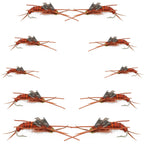 Basics Collection - Kaufmann's Brown Stonefly Kit 10 Flies #Sizes 6-12