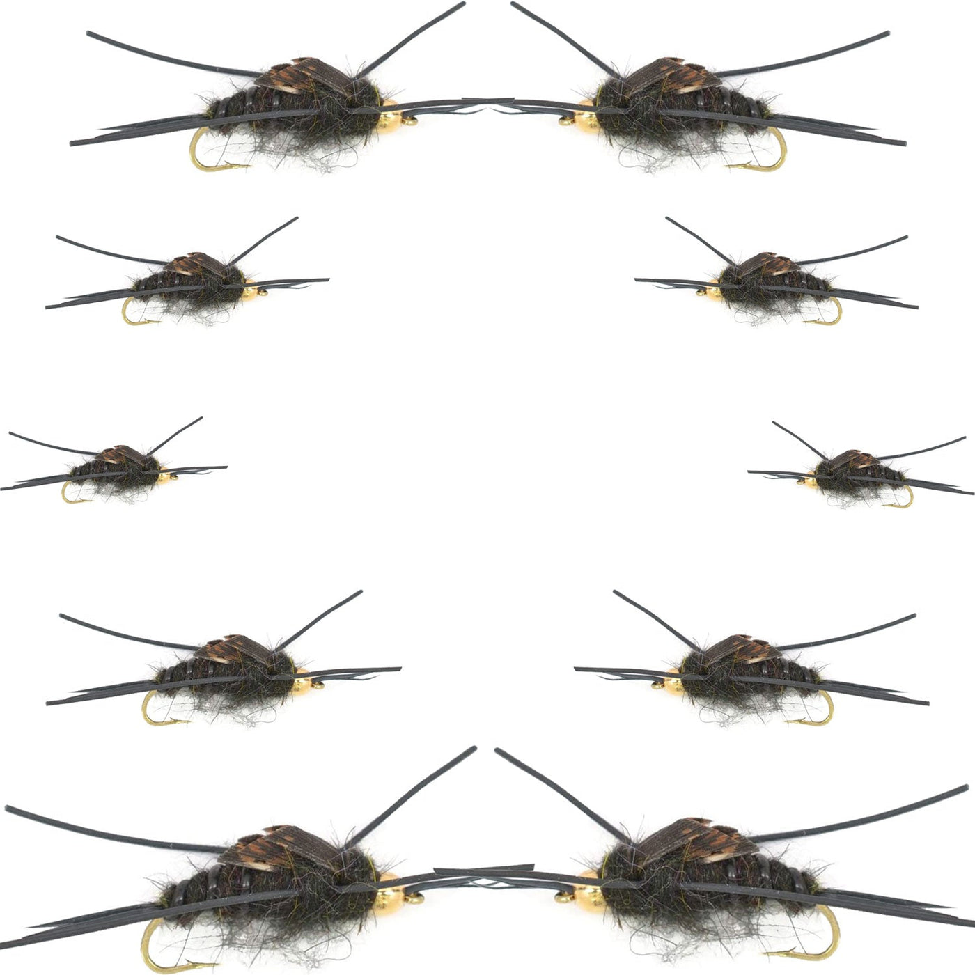 Basics Collection - Kaufmann's Tungsten Black Stonefly Kit 10 Flies #4-12