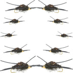 Basics Collection - Kaufmann's Tungsten Black Stonefly Kit 10 Flies #4-12