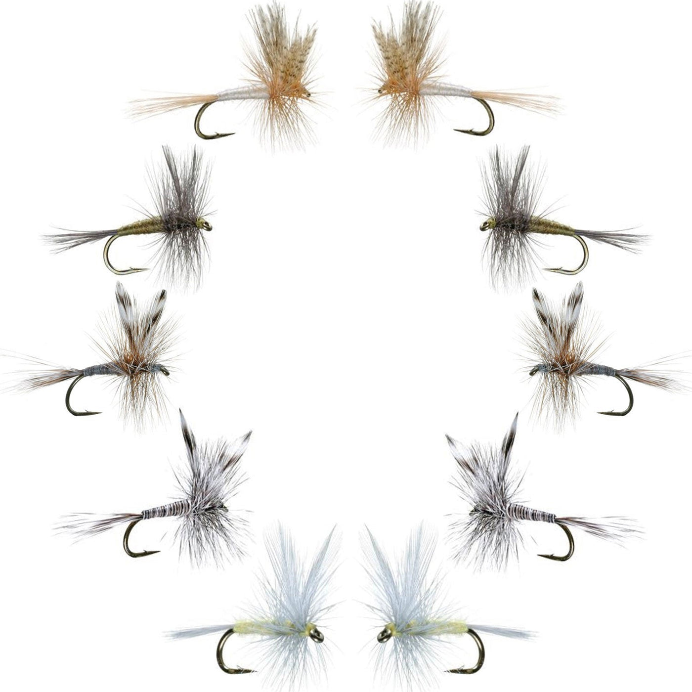 Basics Collection - Classic Dry Fly Assortment - 10 Flies - Sizes 12-16