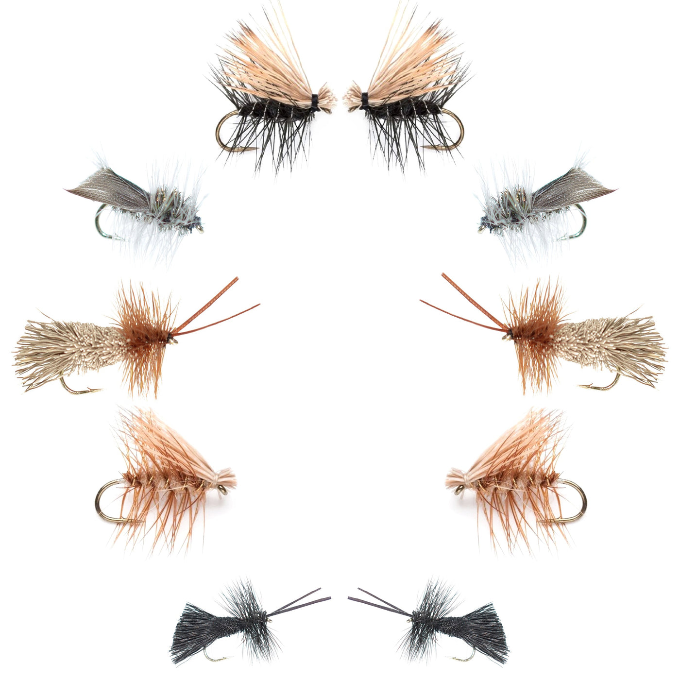 Basics Collection - Caddis Dry Fly Assortment - 10 Flies - Sizes 12-18