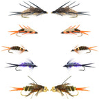 Basics Collection - Double Bead Nymph Assortment - 10 Flies - Size 8