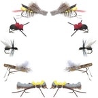 Basics Collection - Terrestrials Fly Assortment - 10 Flies - Sizes 10-14