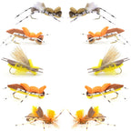 Basics Collection - Foam Hoppers Assortment - 10 Flies - Size 10