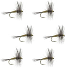 Blue Winged Olive BWO Trout Dry Fly Fishing Flies - 6 Flies Size 20