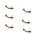 Brown Para Drake Extended Body Dry Fly - 6 Flies Size 12