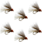 Tan CDC Caddis Emerger 6 Flies Hook Size 12