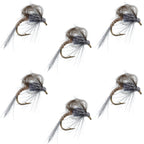 CDC Loop Wing Adams Emerger Fly 6 Flies - Hook Size 18
