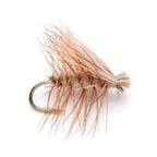 Eastern Trout Fly Assortment - 24 Essential Trout Flies Collection