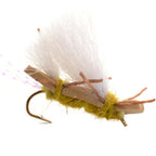 Chubby Chernobyl Ant Golden