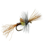 Pale Morning Dun PMD Cripple Mayfly