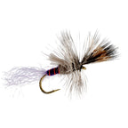 3 Pack Purple Haze Cripple Mayfly Hook Size 16