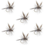Dark Hendrickson Classic Dry Fly - 6 Flies Size 16