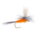 Eastern Trout Fly Assortment - 12 Essential Trout Flies Collection