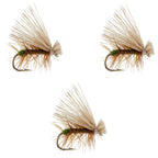 3 Pack Olive Elk Hair Caddis Classic Trout Dry Fly - Hook Size 14