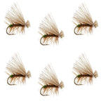 Olive Elk Hair Caddis Classic Trout Dry Fly - Set of 6 Flies Size 14