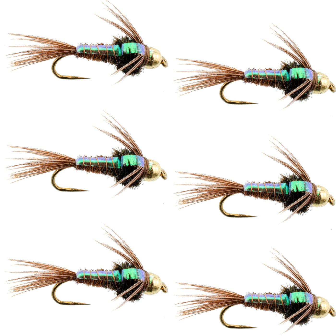 Barbless Bead Head Flashback Pheasant Tail Nymph Fly 6 Flies