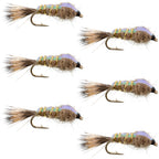 Classic Weighted Flashback Gold Ribbed Hares Ear Nymph - Set of 6 Flies - Size 18