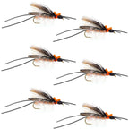 Flat Foam Salmonfly Stone - Stonefly Dry Fly - 6 Flies Hook Size 6