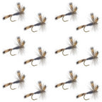 Gray Wulff Classic Trout Dry Fly -12 Flies Hook Size 10