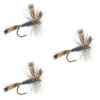 3 Pack Gray Wulff Classic Trout Dry Flies Hook Size 10