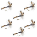 Gray Wulff Classic Trout Dry Fly - 6 Flies Hook Size 12